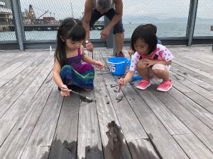 太陽曝曬下，就玩水畫圖寫字。